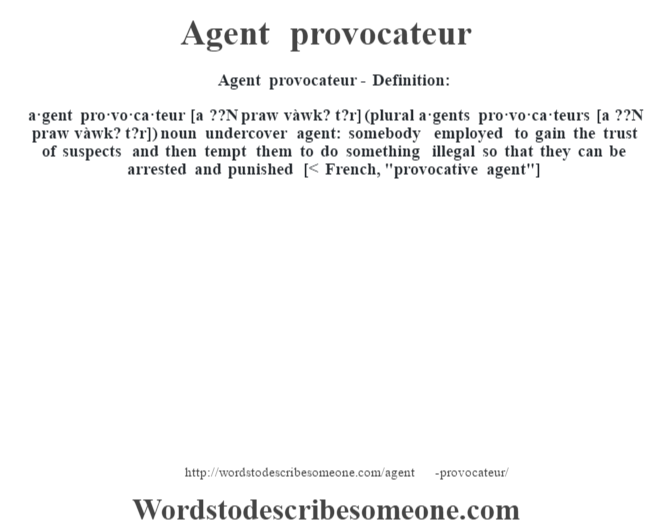 Agent | Agent provocateur meaning - words to describe someone
