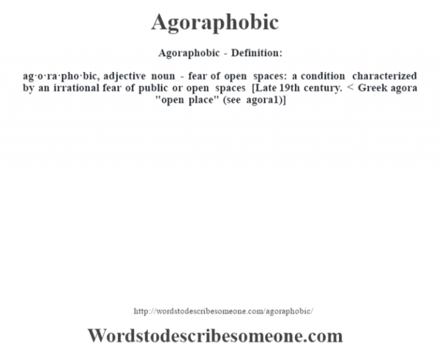 agoraphobic-to-agoraphobic-my-funny-journey-youtube