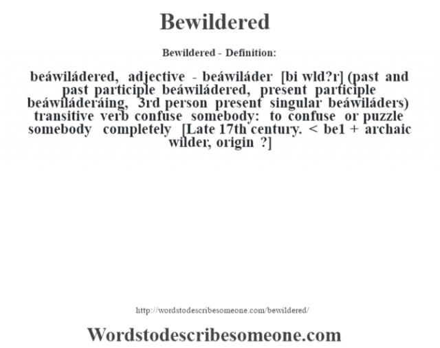 What Does Bewildered Mean In Dictionary