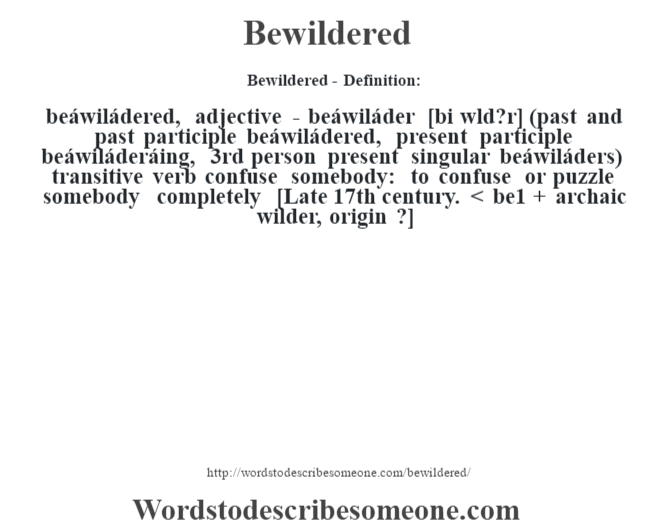 Bewildered Definition Bewildered Meaning Words To Describe Someone