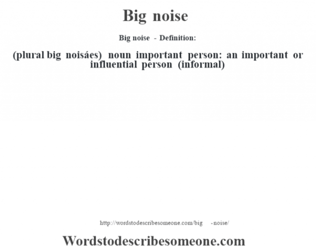 big-noise-definition-big-noise-meaning-words-to-describe-someone