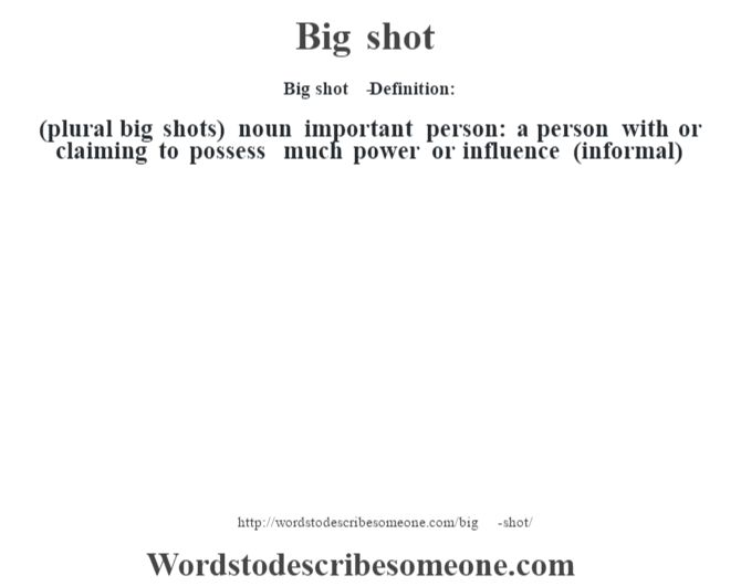 Big shots  Definitions & Meanings That Nobody Will Tell You.