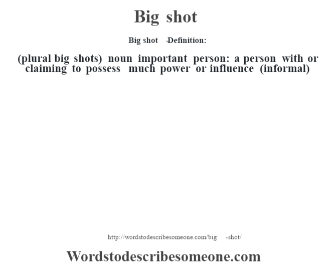 Big shot - Definition, Meaning & Synonyms