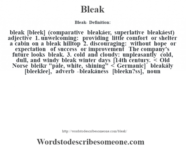 Bleak Definition Bleak Meaning Words To Describe Someone