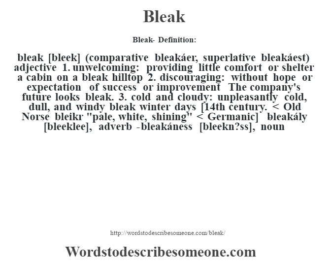 Sentence Example For The Word Bleak