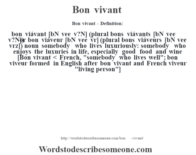 Bon Vivant Definition Bon Vivant Meaning Words To Describe Someone