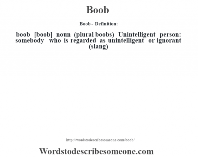 Boob definition  Boob meaning - words to describe someone