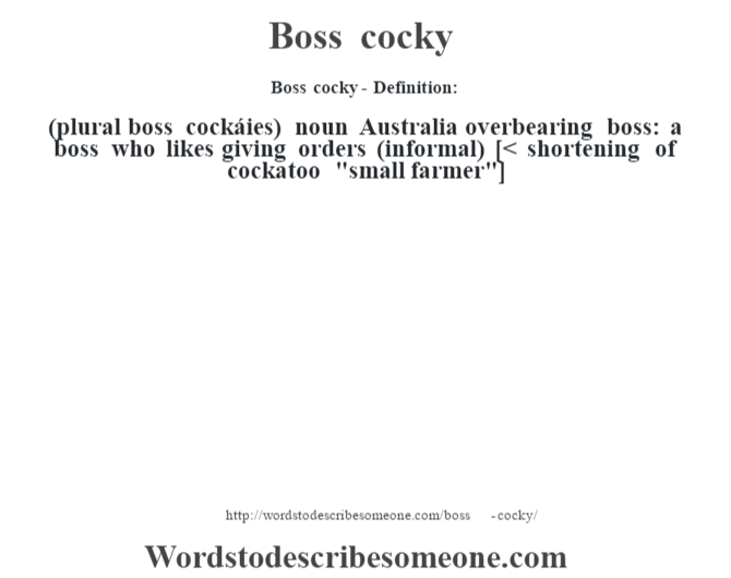 Boss cocky definition | Boss cocky meaning - words someone