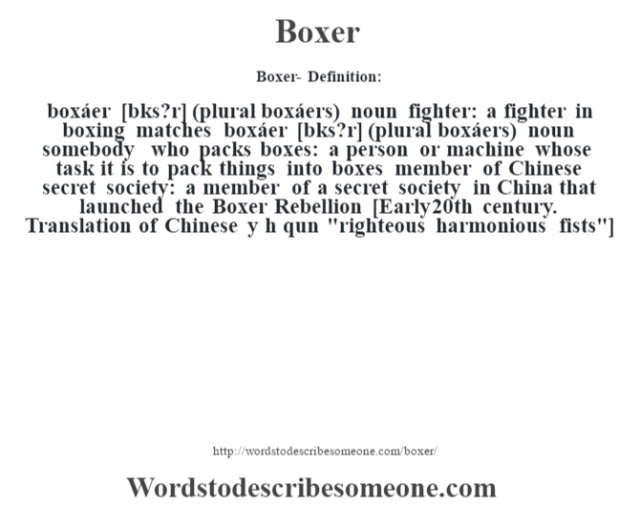 boxer-definition-boxer-meaning-words-to-describe-someone