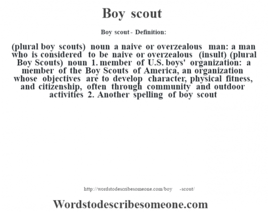 what does it mean to call someone a boy scout