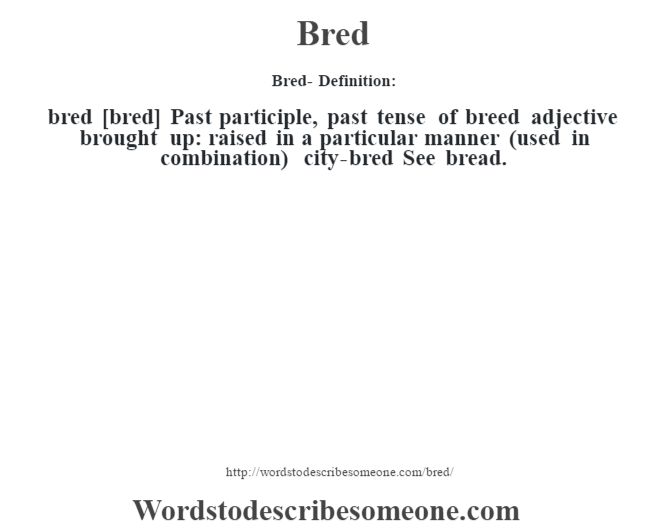 Bred Definition Bred Meaning Words To Describe Someone