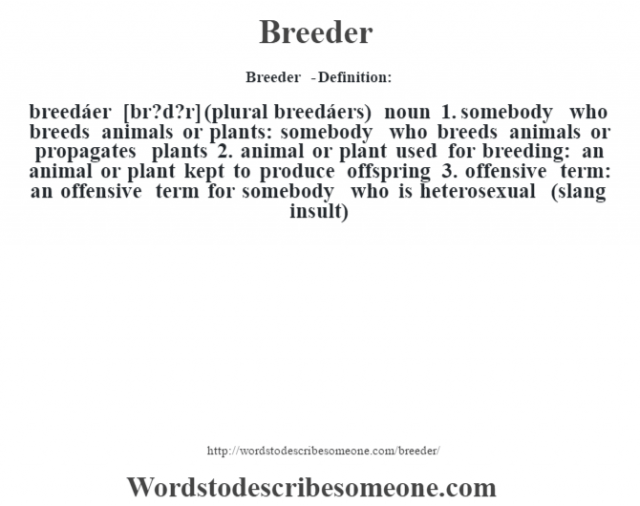 Breeder definition | Breeder meaning - words to describe someone