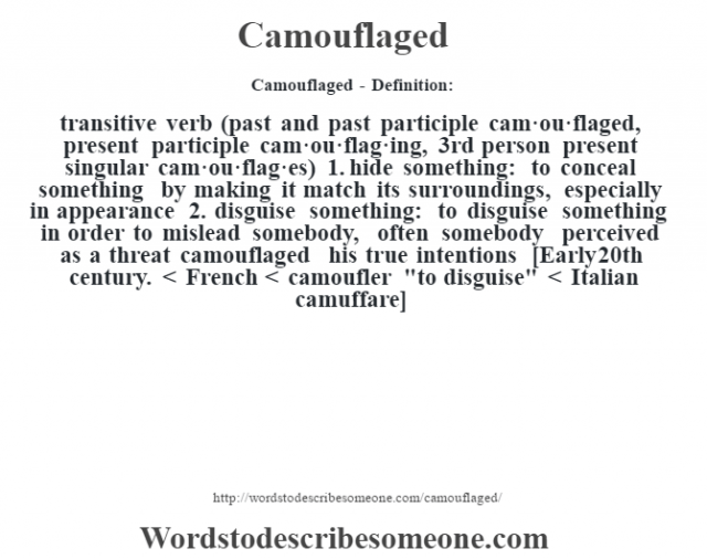 camouflaged-definition-camouflaged-meaning-words-to-describe-someone