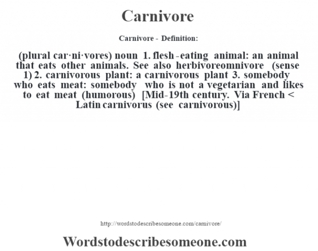 Carnivore definition | Carnivore meaning - words to describe someone Carnivore definition | Carnivore meaning - words to describe someone