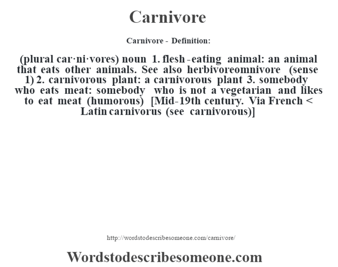 Carnivore definition | Carnivore meaning - words to describe someone