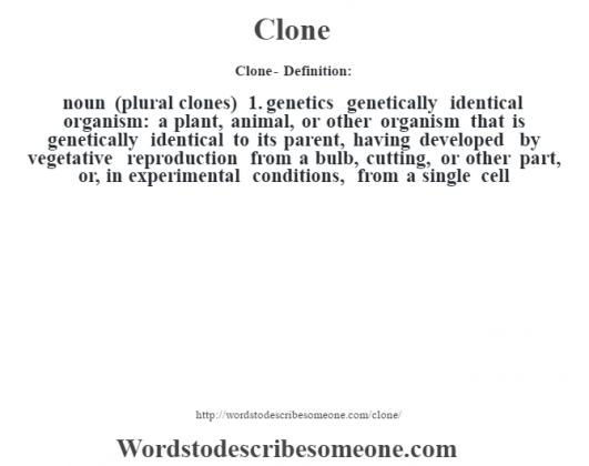 clone-definition-clone-meaning-words-to-describe-someone