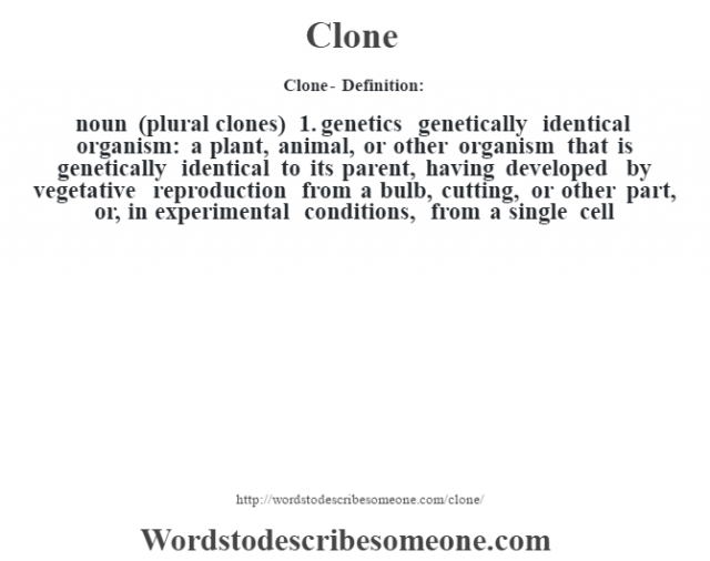 Clone Definition Clone Meaning Words To Describe Someone