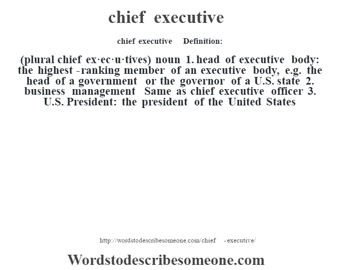 chief executive definition chief executive meaning words to