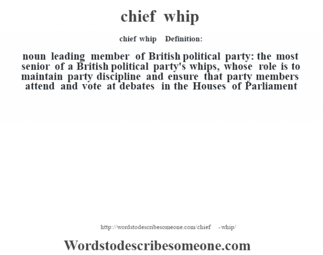 What Does The Word Whip Mean In Congress